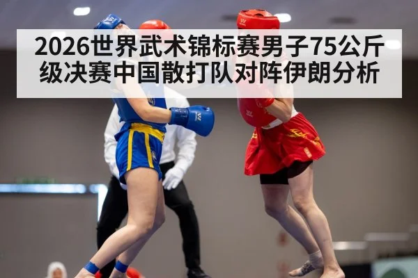 2026世界武术锦标赛男子75公斤级决赛中国散打队对阵伊朗分析 - kaiyun